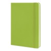 Moleskine Classic Notebooks Large Light Green